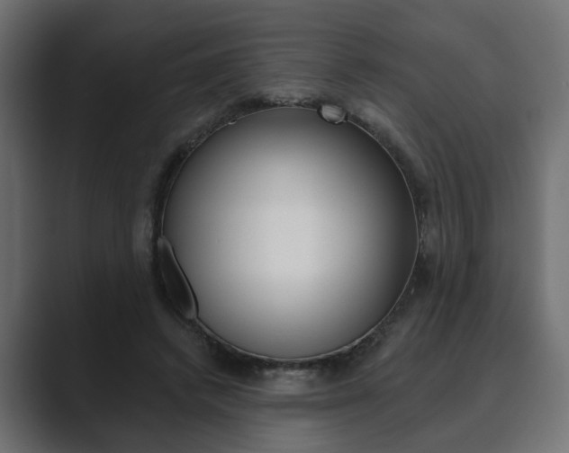 X0000089900448200706281138