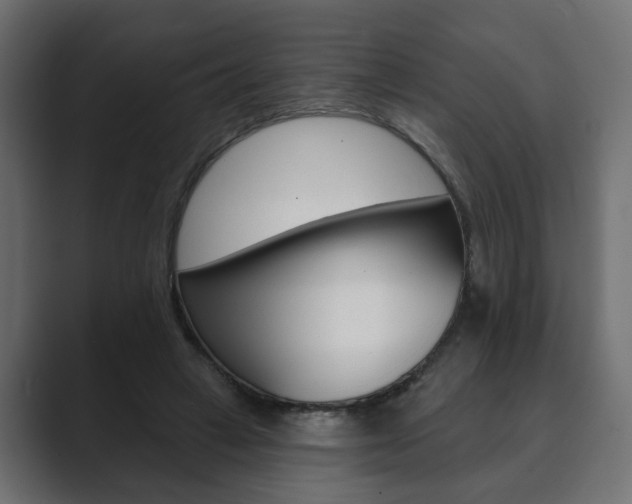X0000089900449200706281138