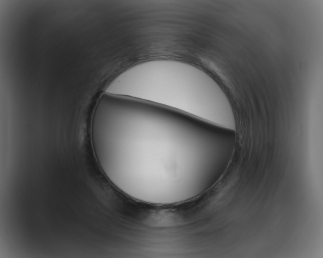 X0000089900451200706281138