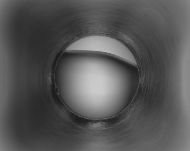 X0000089900452200706281138