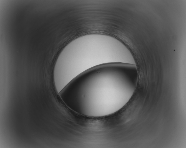 X0000089900454200706281138