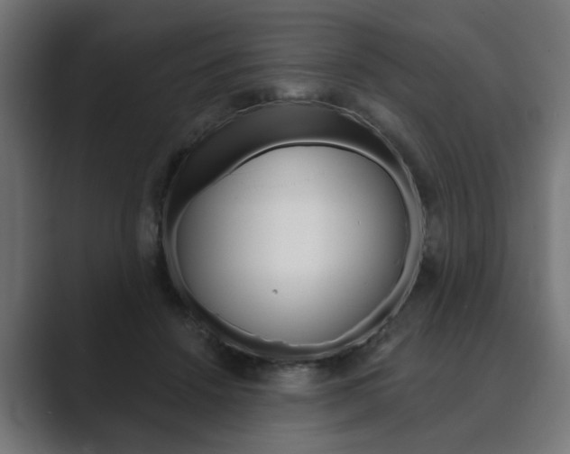 X0000089900456200706281138