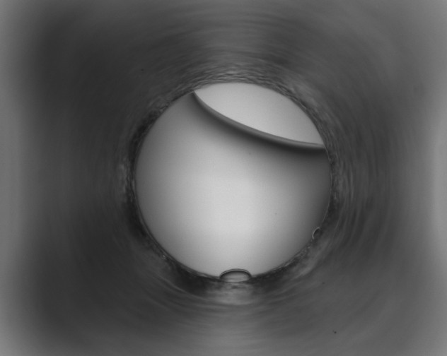 X0000089900463200706281138