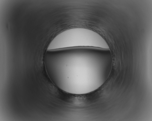 X0000089900466200706281138