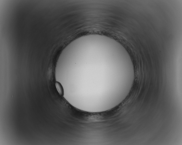 X0000089900468200706281138