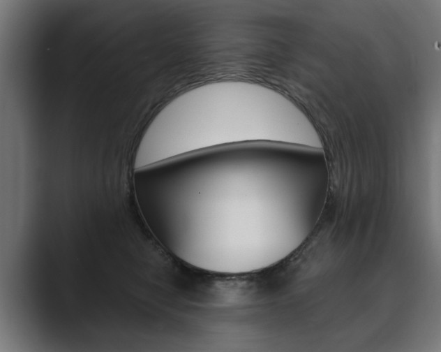 X0000089900470200706281138