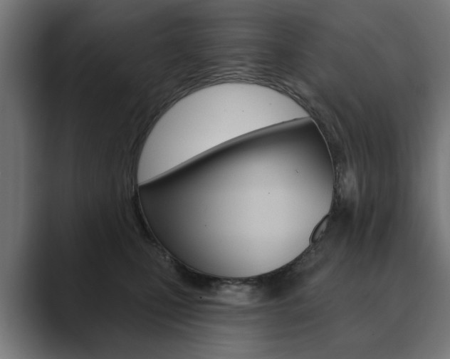 X0000089900471200706281138