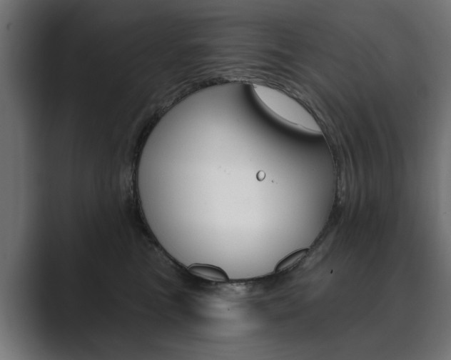 X0000089900473200706281138