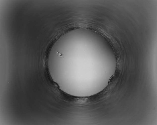 X0000089900474200706281138