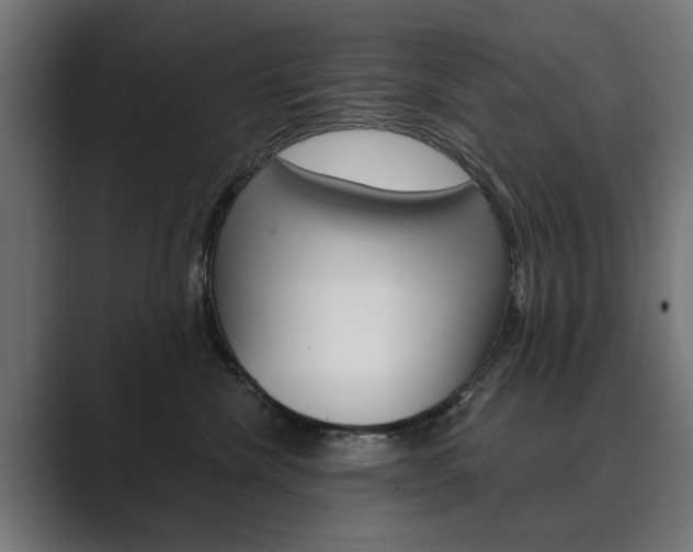 X0000089900476200706281138