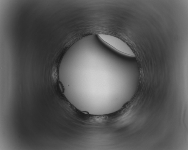 X0000089900479200706281138