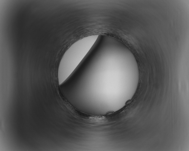 X0000089900480200706281138