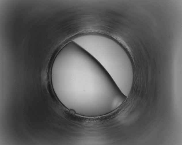 X0000089900487200706281138