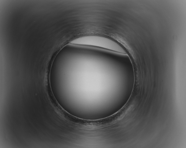 X0000089900489200706281138
