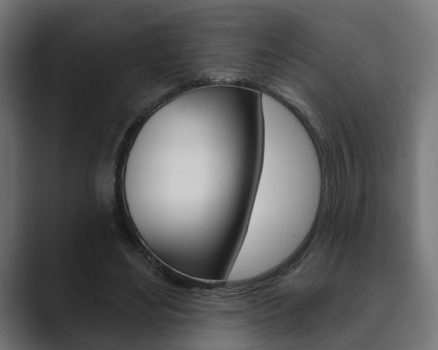 X0000089900492200706281138