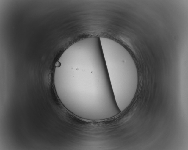 X0000089900495200706281137