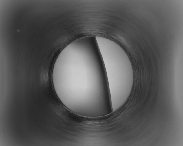 X0000089900500200706281137