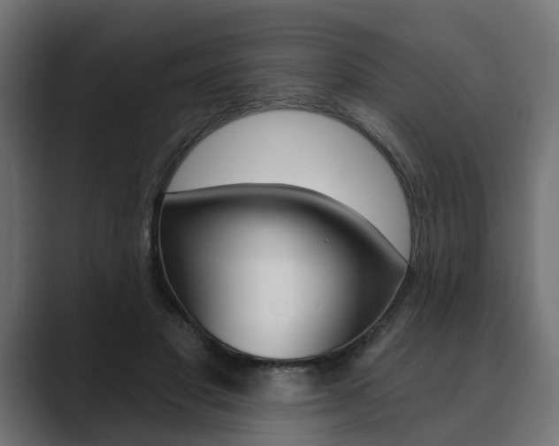 X0000089900501200706281137