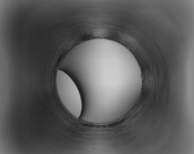 X0000089900502200706281137