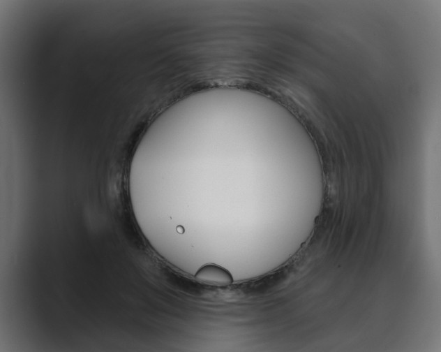 X0000089900503200706281137