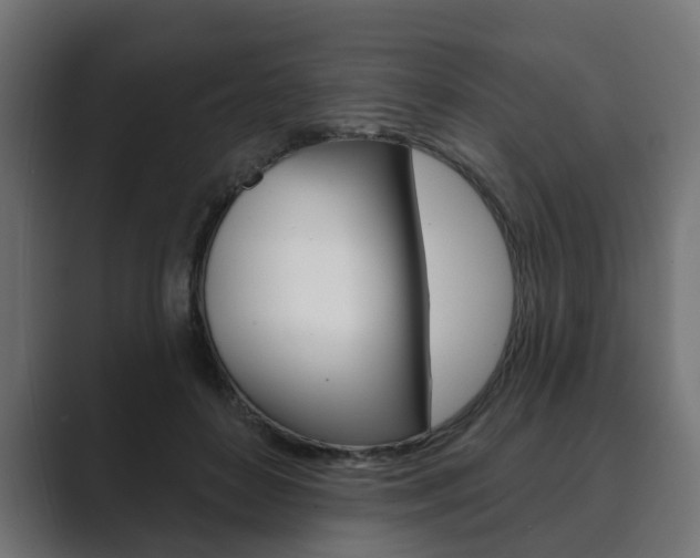 X0000089900504200706281137