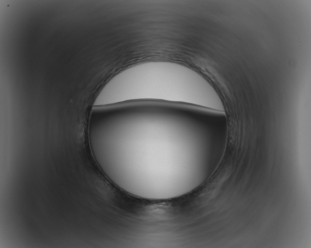 X0000089900505200706281137