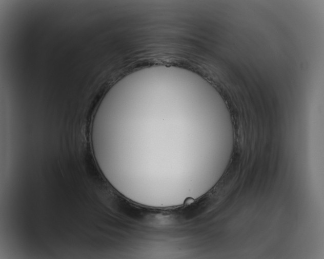 X0000089900506200706281137