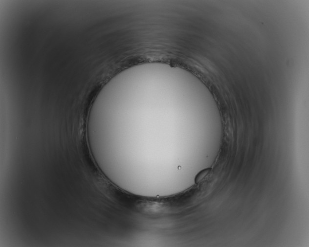 X0000089900507200706281137