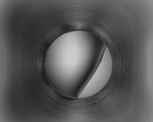 X0000089900509200706281137