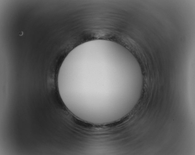 X0000089900510200706281137