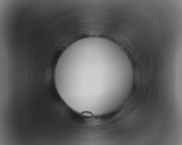 X0000089900511200706281137