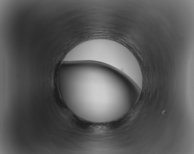 X0000089900512200706281137
