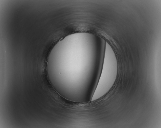 X0000089900517200706281137