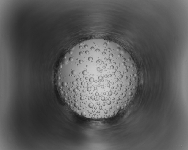 X0000089900519200706281137