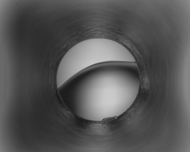 X0000089900521200706281137