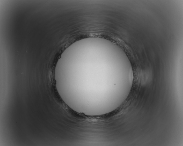X0000089900523200706281137