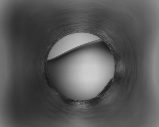 X0000089900524200706281137