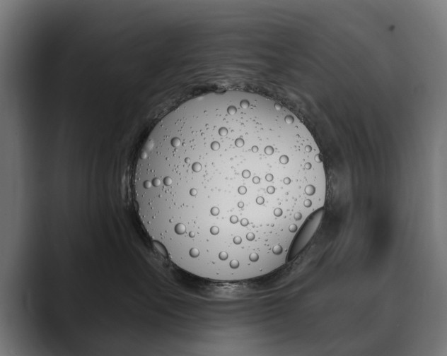 X0000089900527200706281137