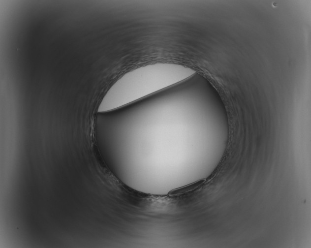 X0000089900528200706281137