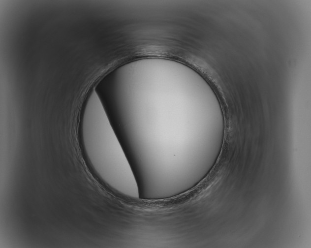 X0000089900529200706281137