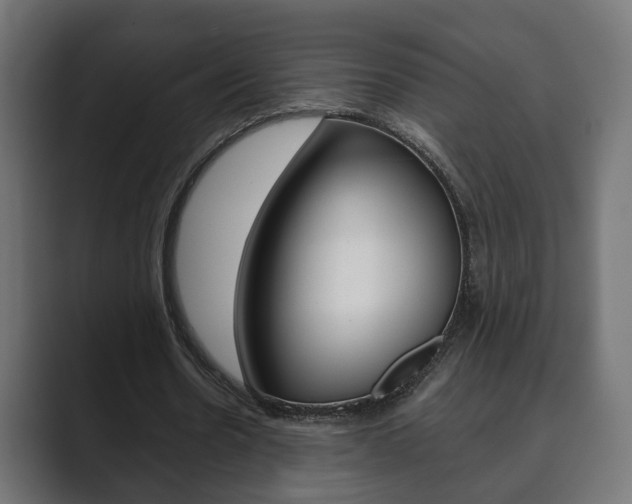 X0000089900530200706281137