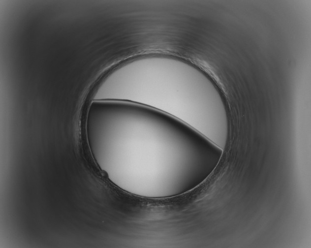 X0000089900531200706281137