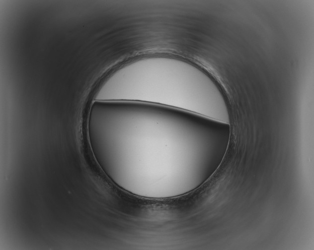 X0000089900535200706281137