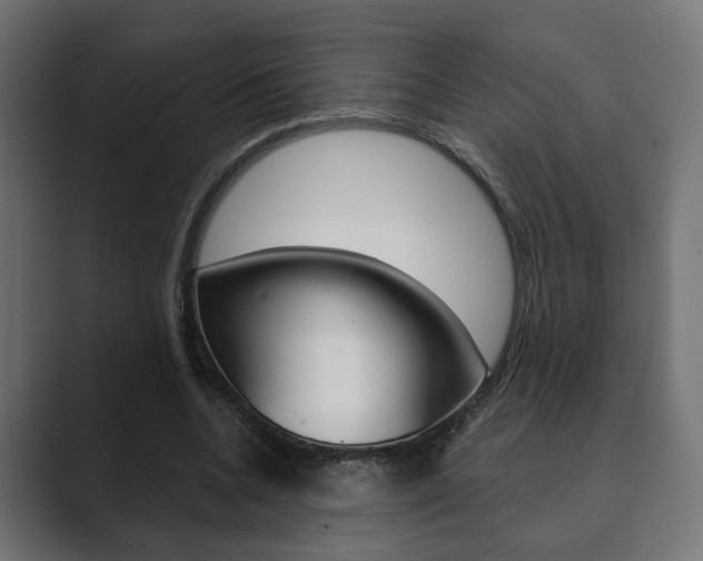 X0000089900536200706281137