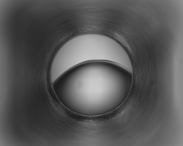 X0000089900538200706281137