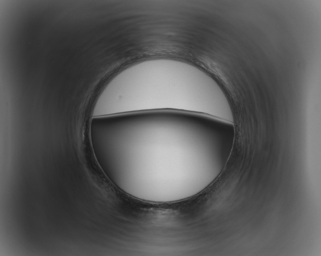 X0000089900539200706281137