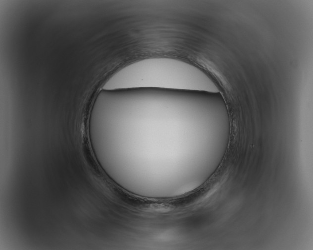 X0000089900541200706281137