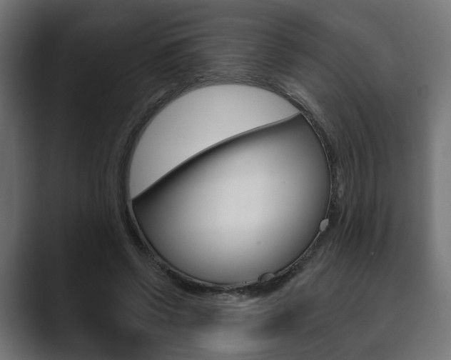 X0000089900542200706281137