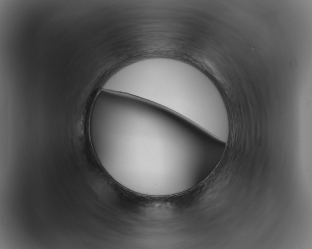 X0000089900543200706281137