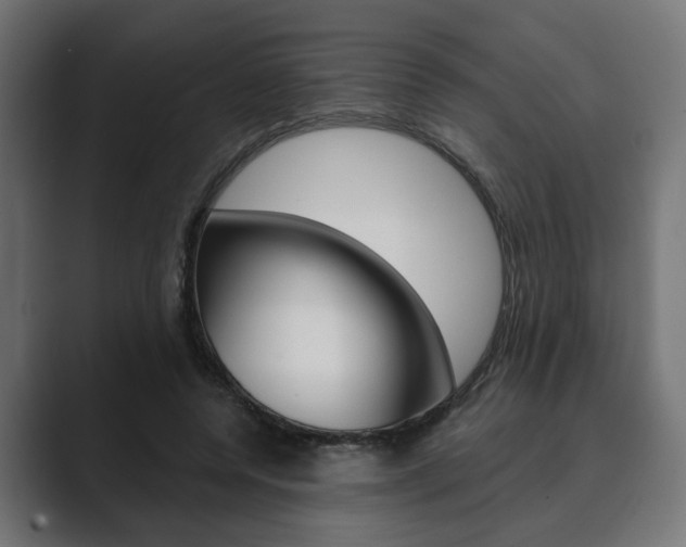 X0000089900544200706281137